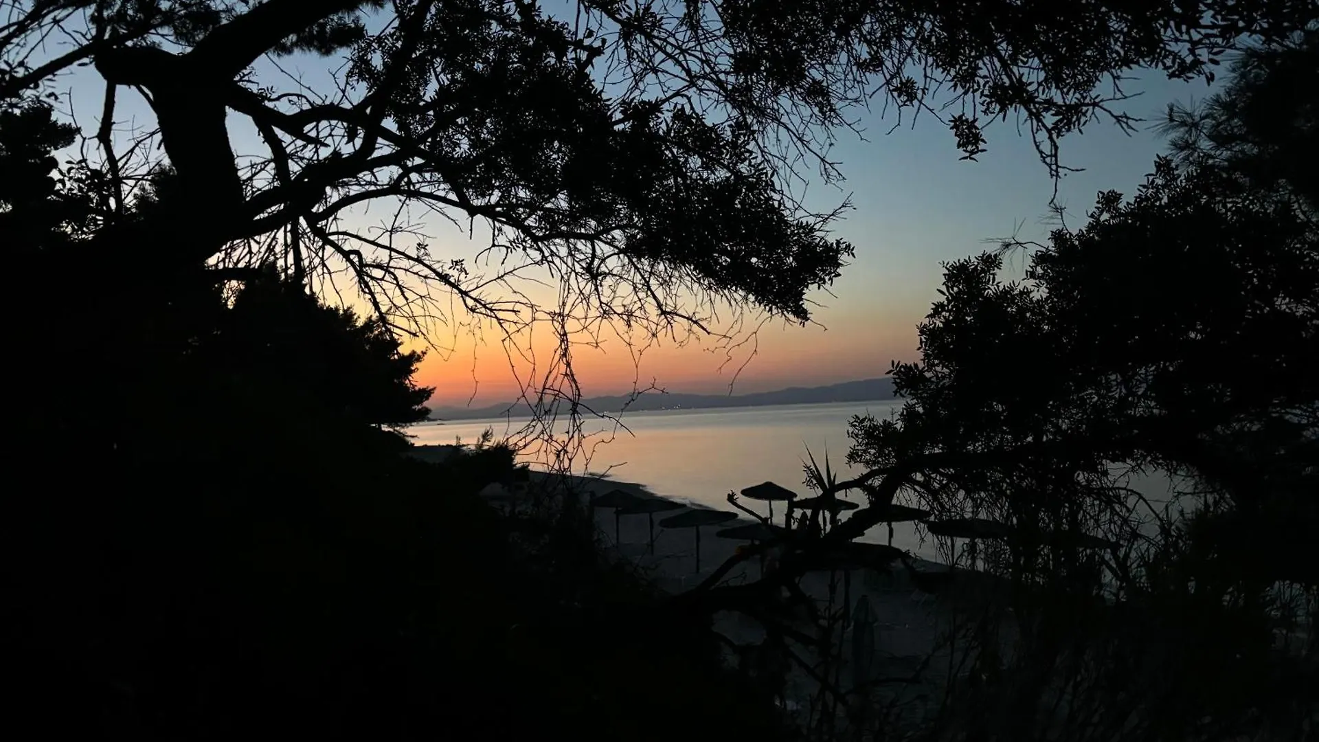 Forest Paradise B Apartment Kriopigi Greece
